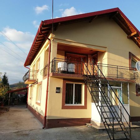 Casa Lidia Si Gogu Budeasa Mare Exterior foto