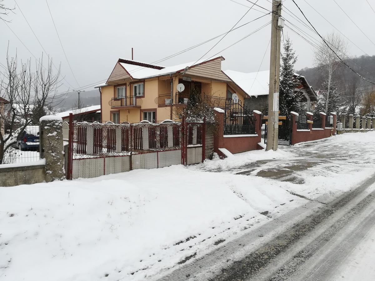 Casa Lidia Si Gogu Budeasa Mare Exterior foto