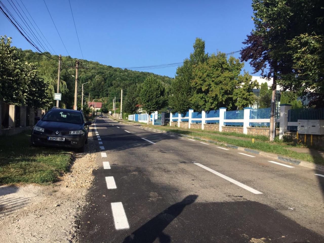 Casa Lidia Si Gogu Budeasa Mare Exterior foto